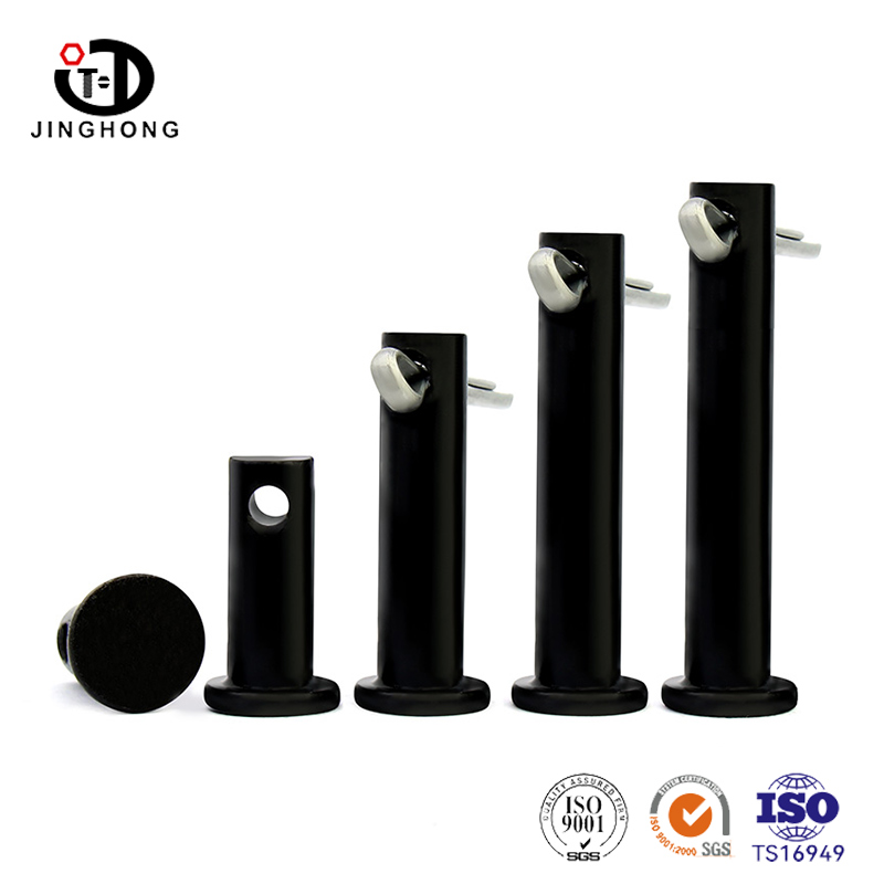 ปิ๊นปิ๊นหัวแบนสีดำ