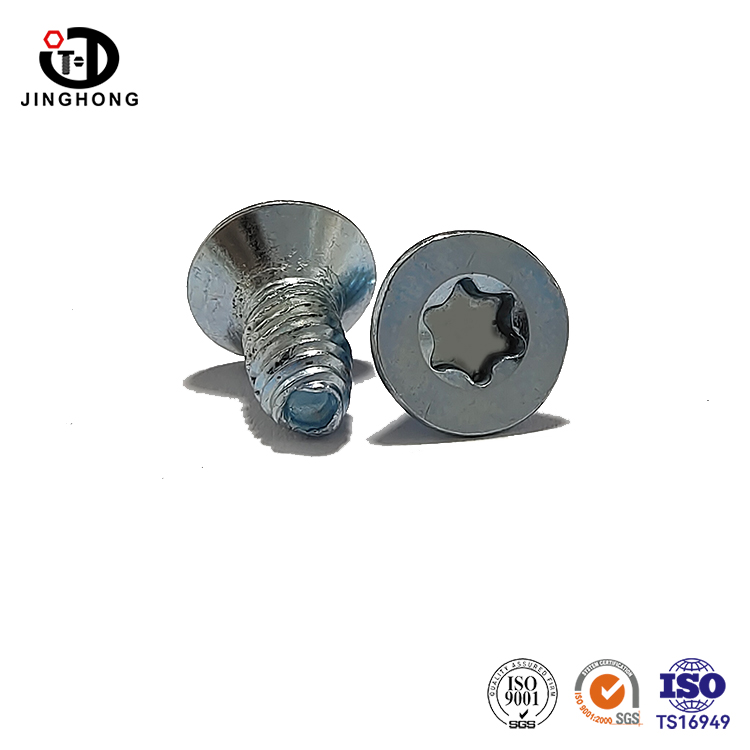 Torx Flat Head Screw